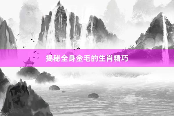 揭秘全身金毛的生肖精巧