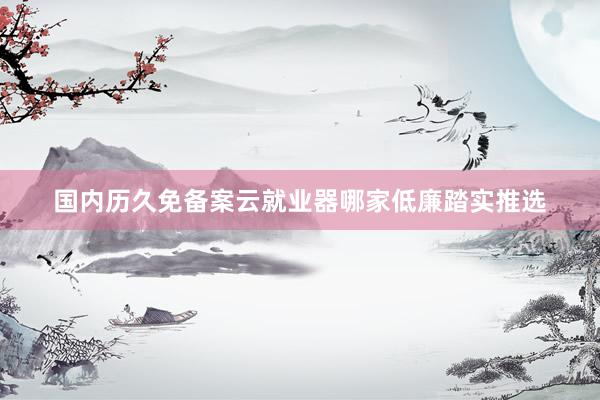 国内历久免备案云就业器哪家低廉踏实推选
