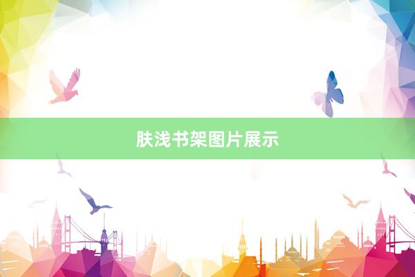 肤浅书架图片展示